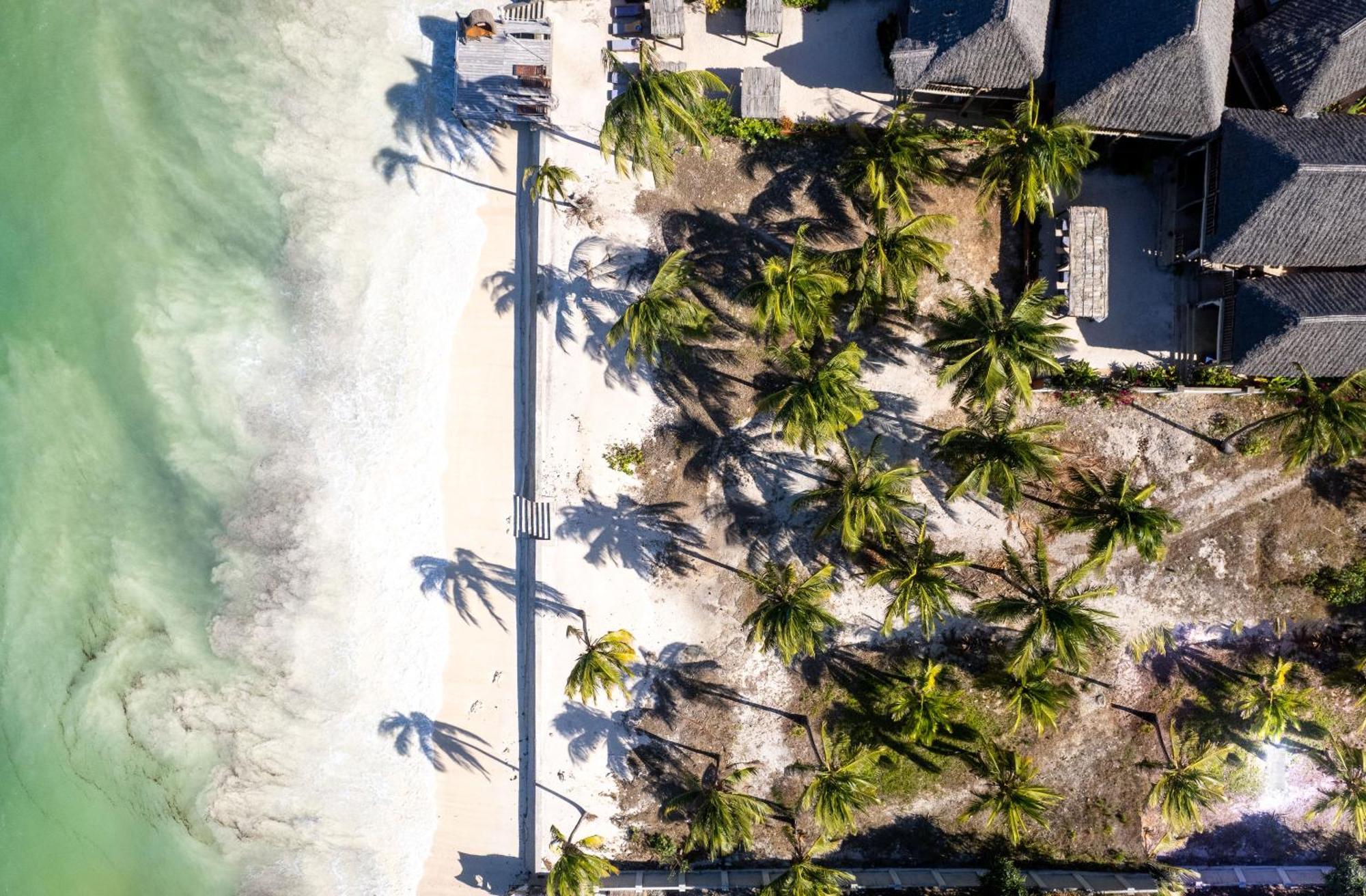 Shanuo Beach Bungalows Michamvi Eksteriør bilde